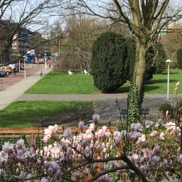 Welkom bij comité Debockstrook