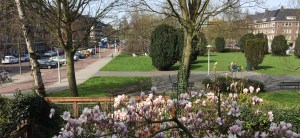 250 huishoudens genieten dagelijks en bij nacht van dit heerlijke stukje open, groene Amsterdam