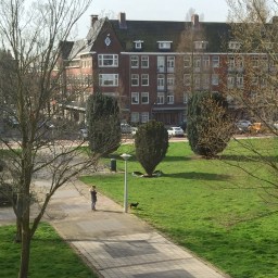 Wie natuur om zich heen heeft…