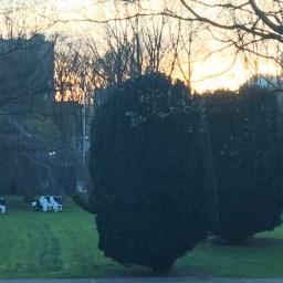 Uitslag bewonersenquete genegeerd door stadsdeel